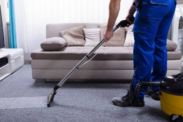 A professional carpet cleaning service in Tauranga revitalizing carpets to pristine condition.