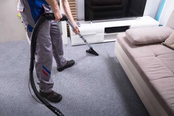 Professional Carpet Cleaning Tauranga - Renew the beauty of your carpets with our expert cleaning