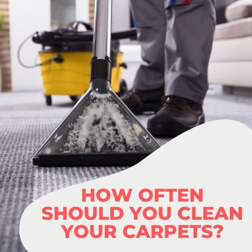 A person using a vacuum cleaner on a clean and well-maintained carpet at home.